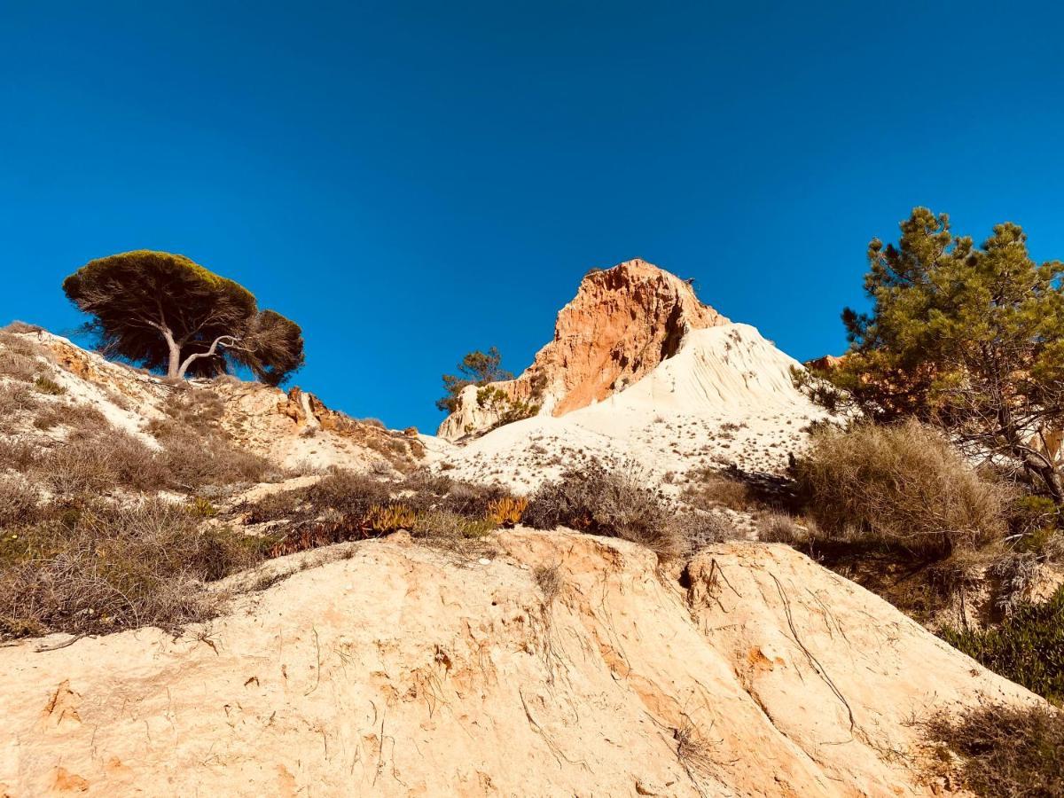 Algarve Luxury Experience - Situated Within The Pinecliffs Resort Albufeira Exteriör bild