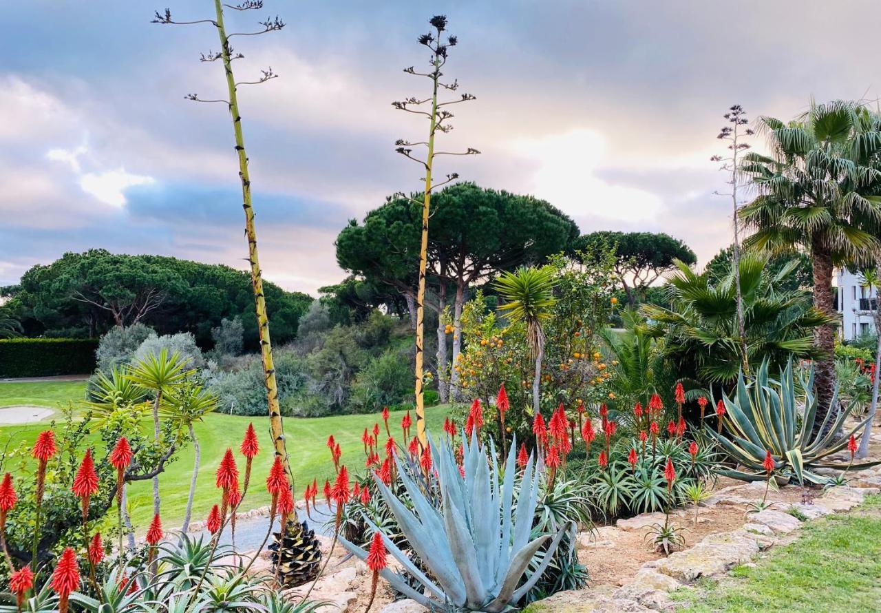 Algarve Luxury Experience - Situated Within The Pinecliffs Resort Albufeira Exteriör bild